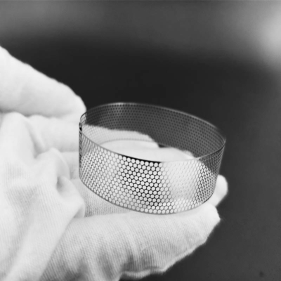 Goede prijs. Roestvrijstalen microgeperforeerd gaas 0,03 mm opening online